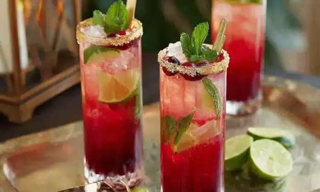 Blood Orange Ginger Cranberry Mojito’s: A Magical Cocktail Delight