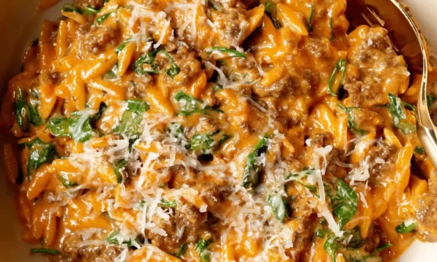 Creamy Tomato Sauce Ground Beef Orzo – A Heavenly 30-Minute Meal