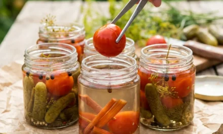 Tiny Tomato Pickles: A Flavor-Packed Bite of Tradition